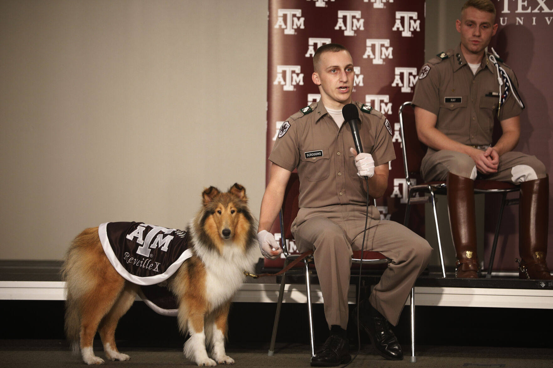 Reveille X